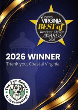 2026 CoVa Mag Best Of Winner