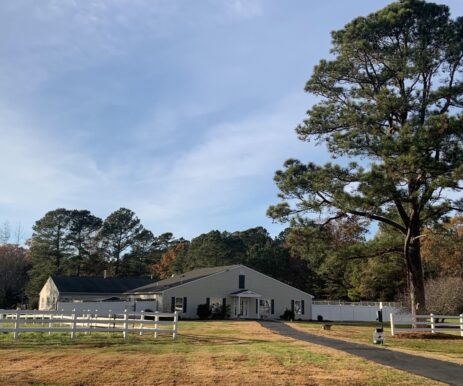 The Pet Resort at Greensprings Williamsburg, VA